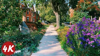 Exploring Guelph's Old Neighborhood | Early Autumn Walk in Old City, Guelph | 4K 60fps ASMR