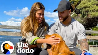 Dog-Rescuing Couple Takes Their Dogs On The Best Day Ever | The Dodo