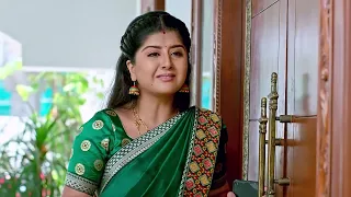 Vaidehi Parinayam - వైదేహి పరిణయం - Telugu Serial - EP - 397 - Karuna Bhushan - Zee Telugu