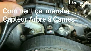 مهم جدا Comment ça marche Capteur Pignon Arbre à Cames Moteur 1.6 HDi 1.6 16 v