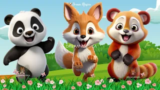 Wild Animal Sounds In Nature: Panda, Fox, Red panda, Zebra, Meerkat | Animal Moments