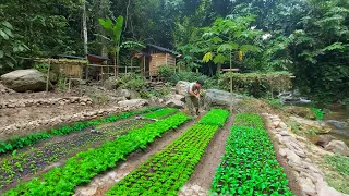 Gardening, Vegetable Care, Growing Onions, Garlic, Potatoes, Cooking. 1 Year living Off Grid