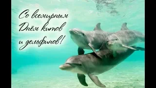 Всемирный 🐬🐋 ДЕНЬ ЗАЩИТЫ КИТОВ И ДЕЛЬФИНОВ. 23 июля.