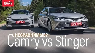Toyota Camry 2018 или Kia Stinger — сравниваем свои машины