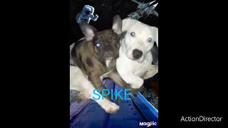 SPIKE