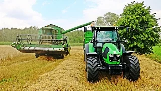 Żniwa 2016 | Żyto & Pszenżyto | John Deere 2256