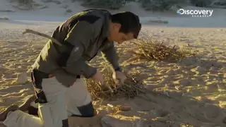 How To Stay Alive | Bear Grylls Special