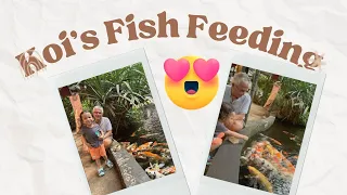 KOI FISH FEEDING AT CRESCENT  MOON CAFE | HAZEL'S DIARY