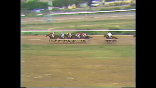 1986 Jamaica Derby - Prince Consort (Winston Griffiths).