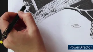 African Thicket - Part 10 - Ants Time-lapse drawing