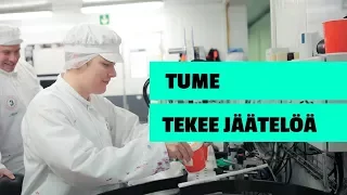 TUME OIKEISSA TÖISSÄ 2: Jäätelöyrittäjänä