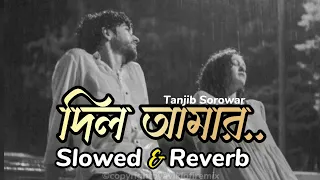 দিল আমার - Dil Amar | Slowed & Reverb | @aviklo-firemix| Tanjib Sorowar & Helen |Tanjib Hits Song