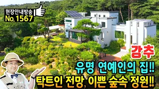 (강추) 유명 연예인이 소유했던 집!! 숲속의 전원주택 매매 고급 내외장재 탁트인 전망의 최상단 위치 자연석과 정원수가 자리 잡은 곳 텃밭 썬룸 등 홍성부동산 - 발품부동산TV