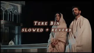 Tere Bin | Meet01 LOFI Song| {slowed + reverb} | Wahaj Ali, Yumna Zaidi |