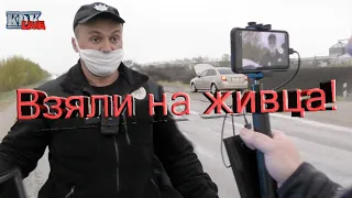 КДК в Новгородке охотится на оленемусора!