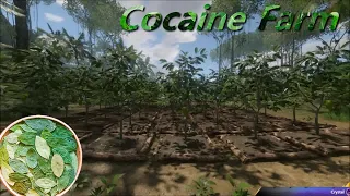 Green Hell - Best Base Ever - Cocaine Farm