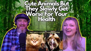Cute Animals But They Slowly Get Worse For Your Health @mndiaye_97 | HatGuy & @gnarlynikki React