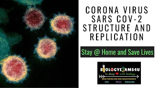 Coronavirus SARS COV-2, Structure, Replication and Genome explained