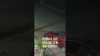 Você já viu? Essa criatura estranha, não tem nem como pular o dia de malhar a perna kkkkkkkk #shorts