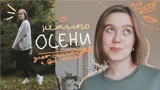 настроение, идеи, вдохновение для осенних фанатов, как и я 🍂☀️🍁🌾 Areen