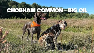 Chobham Common - Big Oil Edition