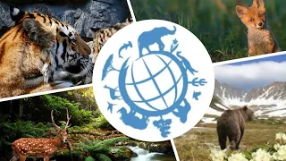 3 сентября - Всемирный день защиты дикой природы. ТОП 15 самых удивительных фактов о дикой природе.