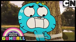 Das Hündchen | Die Fantastische Welt Von Gumball | Cartoon Network