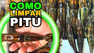 🦐COMO LIMPAR PITÚ COM CASCA: Guia Passo a Passo