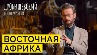 Усредненный человек: почему расы Восточной Африки самые «нейтральные» на планете? // Дробышевский