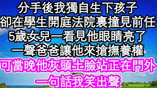 分手後我獨自生下孩子，卻在學生開庭法院裏撞見前任，5歲女兒一看見他眼睛亮了，一聲爸爸讓他來搶撫養權，可當晚他灰頭土臉站正在門外，一句話我笑出聲| #為人處世#生活經驗#情感故事#養老#退休