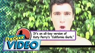 CALIFORNIA GAYS - KATY PERRY PARODY - Enhanced version!