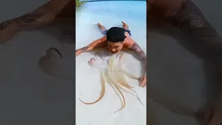 Rare Octopus On Tropical Beach #shorts