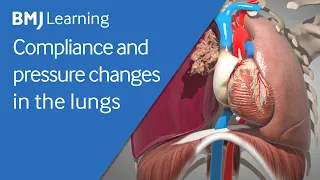 Basics of ventilation: Compliance and pressure changes in the lungs