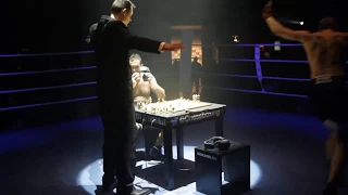 Chessboxing Trailer