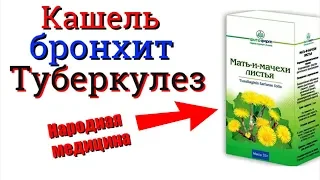 Мать-и-мачеха при Кашле бронхите Туберкулезе