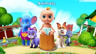 Wild Animal Express | Kids Song & Cartoon Videos For Children Good Crazy Kids Kids Videos