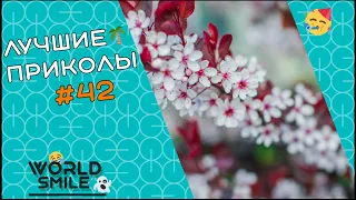 №42🍍Лучшие приколы 2021 Август🍍Свежие приколы 2021🍍Best Coub 2021🍍Смех до слез🍍