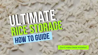 Absolutely The Best Way To Store Rice Long Term And Pest-Free