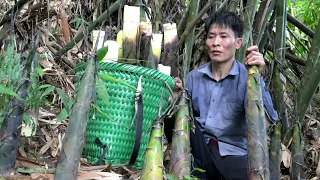 Harvest Bamboo Shoots Goes to the market sell - Gardening - Solo Survival