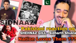 Pakistani reacts on Sidnaaz memories | sidharth shukla - shehnaz gill journey | HBD  Sidharth❤️