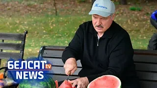 Лукашэнка паказаў свае кавуны | Лукашенко показал свои арбузы