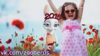 Zoobe зайка - чувства :)