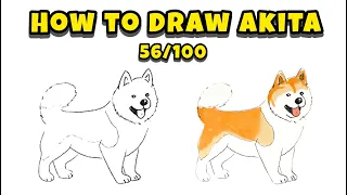 Masterclass: How to Draw Akita – Episode 56/100 of 100 Dogs Drawing