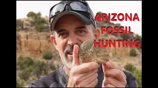 Hunting for Prehistoric Dinosaur Fossils in Northern Arizona