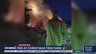 Debris fire on Christmas tree farm in Auburn