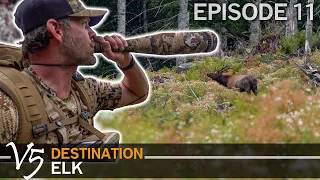 Showdown with The Jurassic Bull: EPISODE 11 (Destination Elk V5)