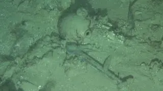 Mystery shipwreck discovered off North Carolina coast