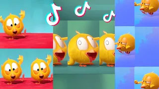 SHORTS CHICKY | CHICKEN WINGS SONG | Where's Chicky #shorts