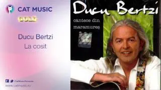 Ducu Bertzi - La cosit