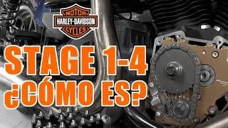 HARLEY DAVIDSON STAGES 1-4 ¿CÓMO ES?